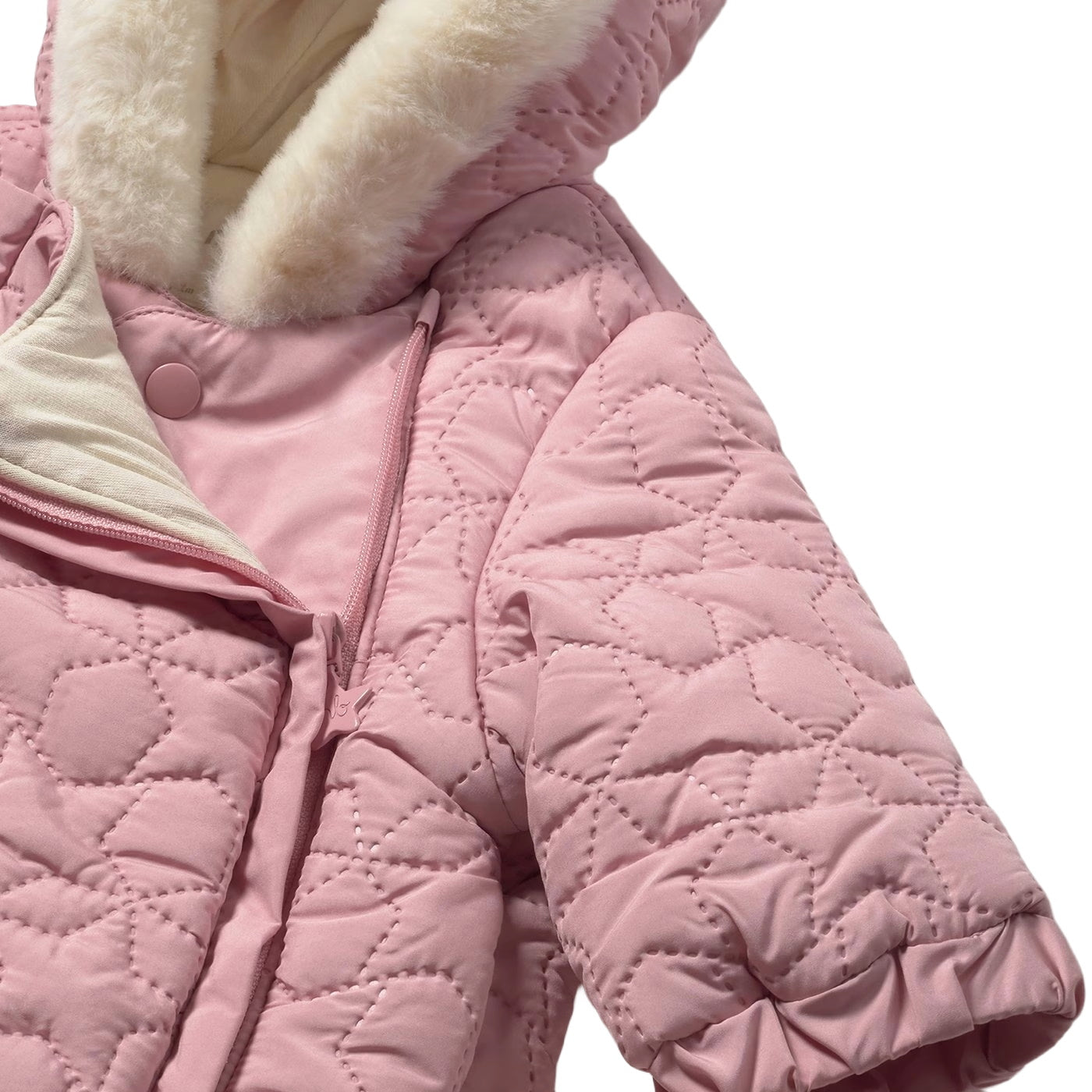 Mayoral eskimo neonata